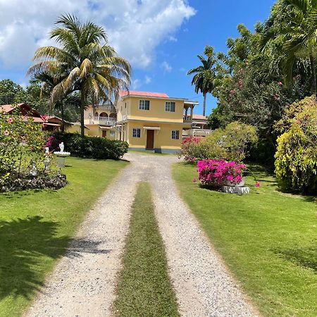 Little Shaw Park Guest House Ocho Rios Exterior photo