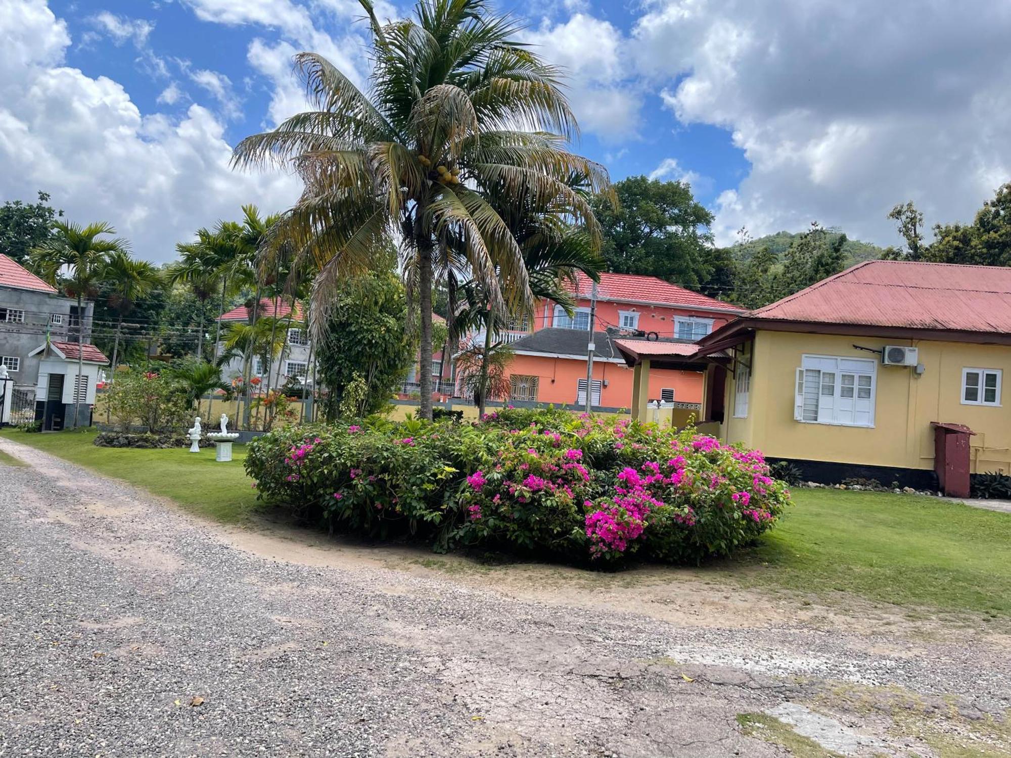 Little Shaw Park Guest House Ocho Rios Exterior photo